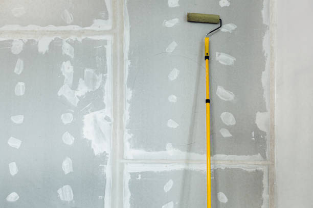Reliable Mead, WA Mold Removal Solutions