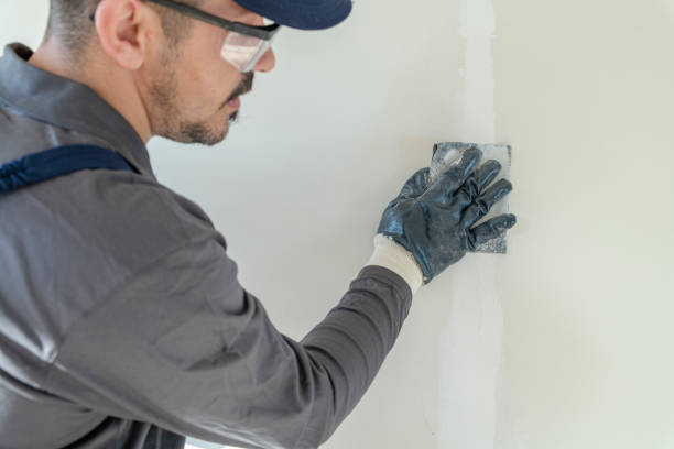 Forensic Mold Investigation in Mead, WA