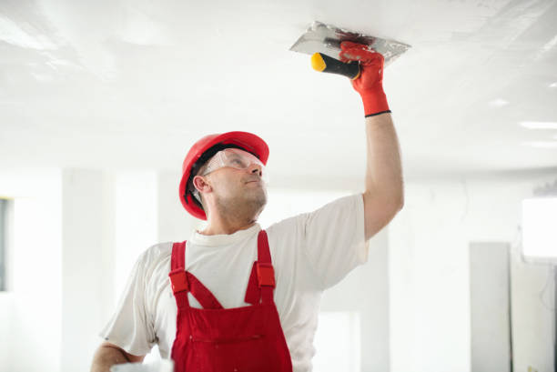 Best Mold Remediation for Healthcare Facilities  in Mead, WA