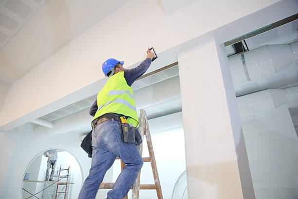 Best Attic Mold Removal  in Mead, WA